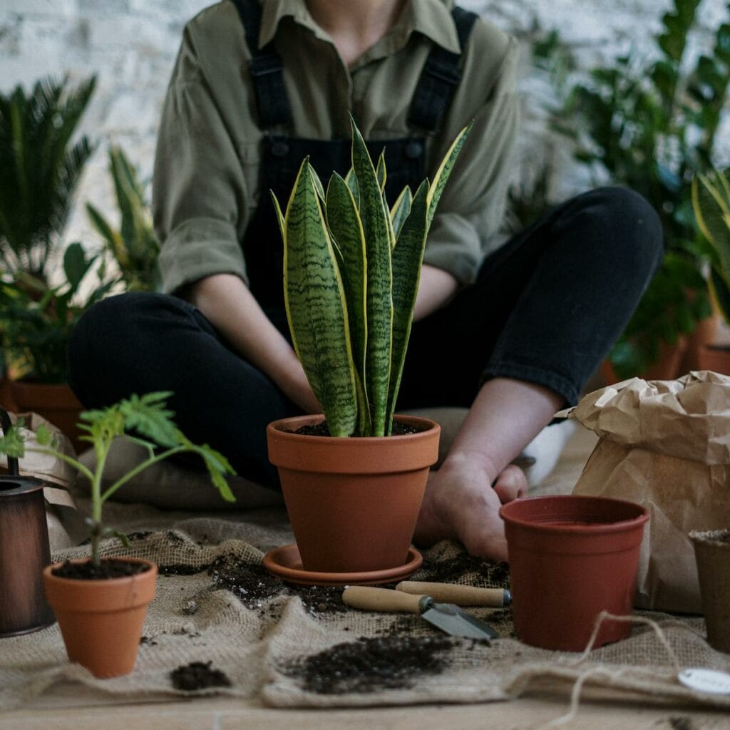 photo of person sitting near potted plants